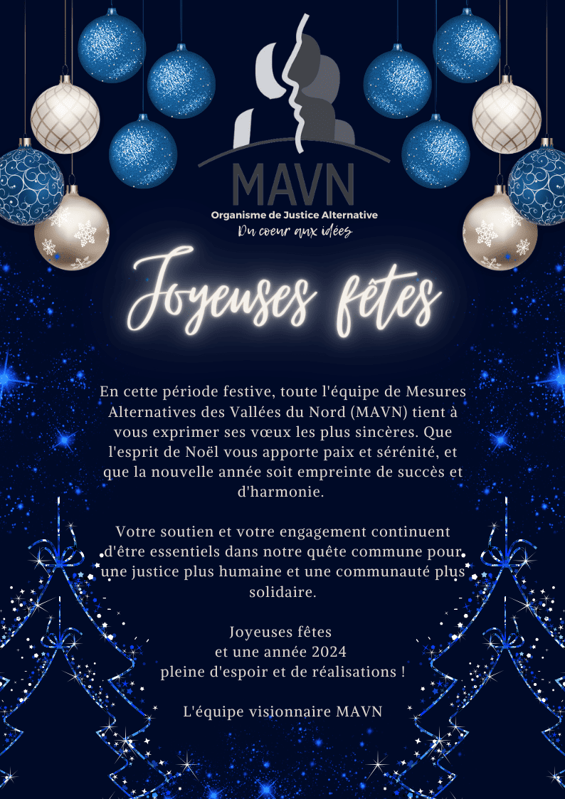 MAVN-Joyeuses-fetes-et-bonne-annee-2024-Email-Newsletter.png